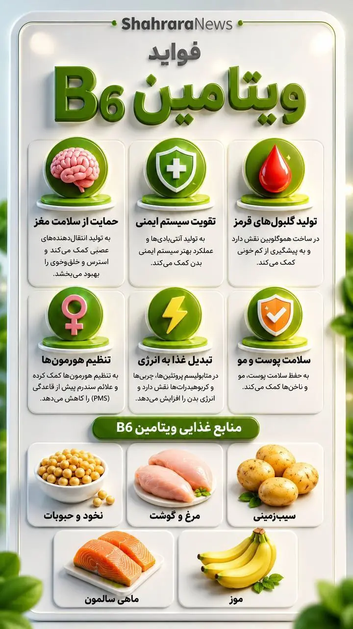 اینفوگرافی| فواید ویتامین ب ۶