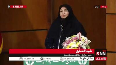 انصاری: قیمت پایین انرژی و آب انگیزه سرمایهگذاری در بهرهوری سبز و بهکارگیری فناوریهای نوین را کاهش میدهد؛ به ابزارهای تشویقی نیاز داریم