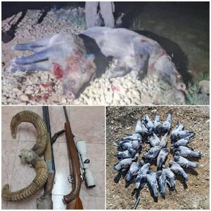 دستگیری شکارچیان سابقهدار در مناطق آزاد شهرستان کوهرنگ
