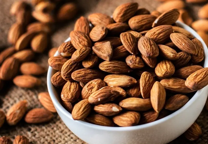 23 هزار هکتار باغ بادام در چهارمحال و بختیاری وجود دارد - تسنیم