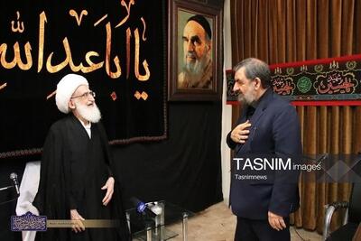 پیام آیتالله نوری همدانی به سرلشکر رضایی:استقامت برابر دشمن ضروری است - تسنیم