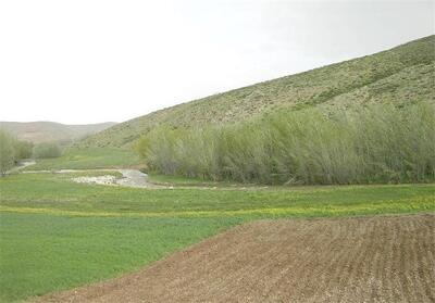ماجرای واگذاریهای اختلافانگیز در ابرکوه چه بود؟ - تسنیم