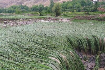 سیل به مناطق روستایی کلات و درگز خسارت زد - تسنیم