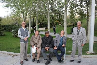  اشکالات قانون همسان‌سازی حقوق بازنشستگان باید اصلاح شود - تسنیم