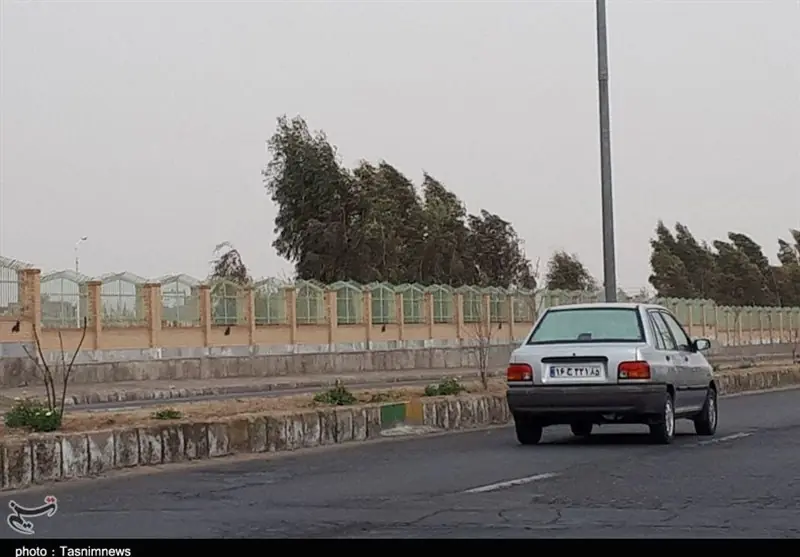 تداوم بادهای 120 روزه درخراسان جنوبی؛ احتمال طوفان گردوخاک درشرق استان - تسنیم
