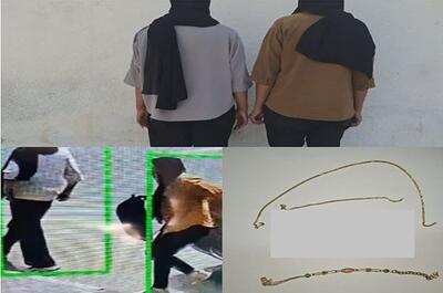  سارقان طلای آرایشگر با ردیابی خودرو به دام افتادند - تسنیم