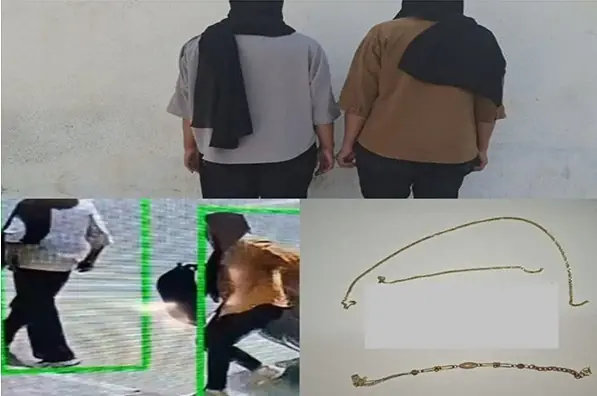 سارقان طلای آرایشگر با ردیابی خودرو به دام افتادند - تسنیم