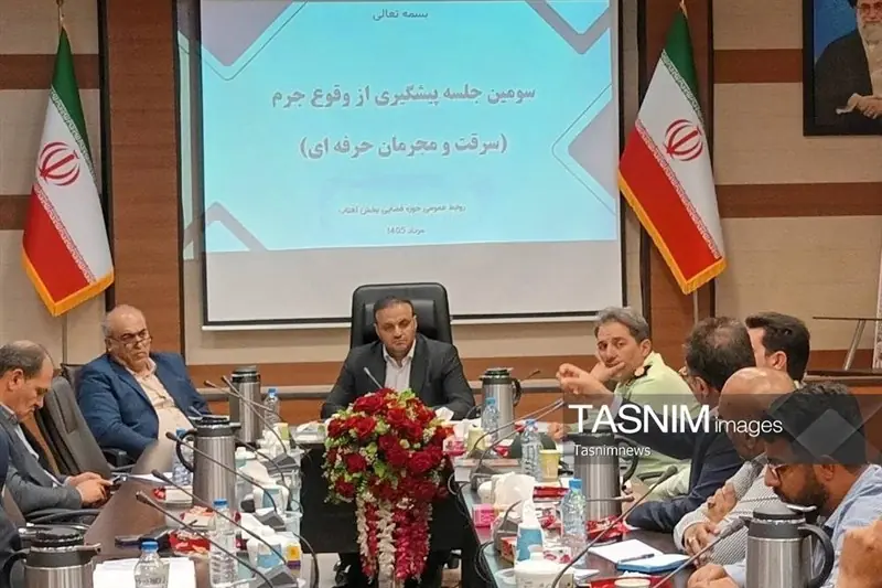  افزایش چشمگیر سرقت در بخش آفتاب؛ مرتضی‌گرد در صدر سرقت‌های خرد - تسنیم