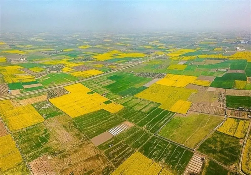 13 سال تنش بر سر 150 هکتار اراضی کشاورزی/ سنگپرانی سودجویان! - تسنیم