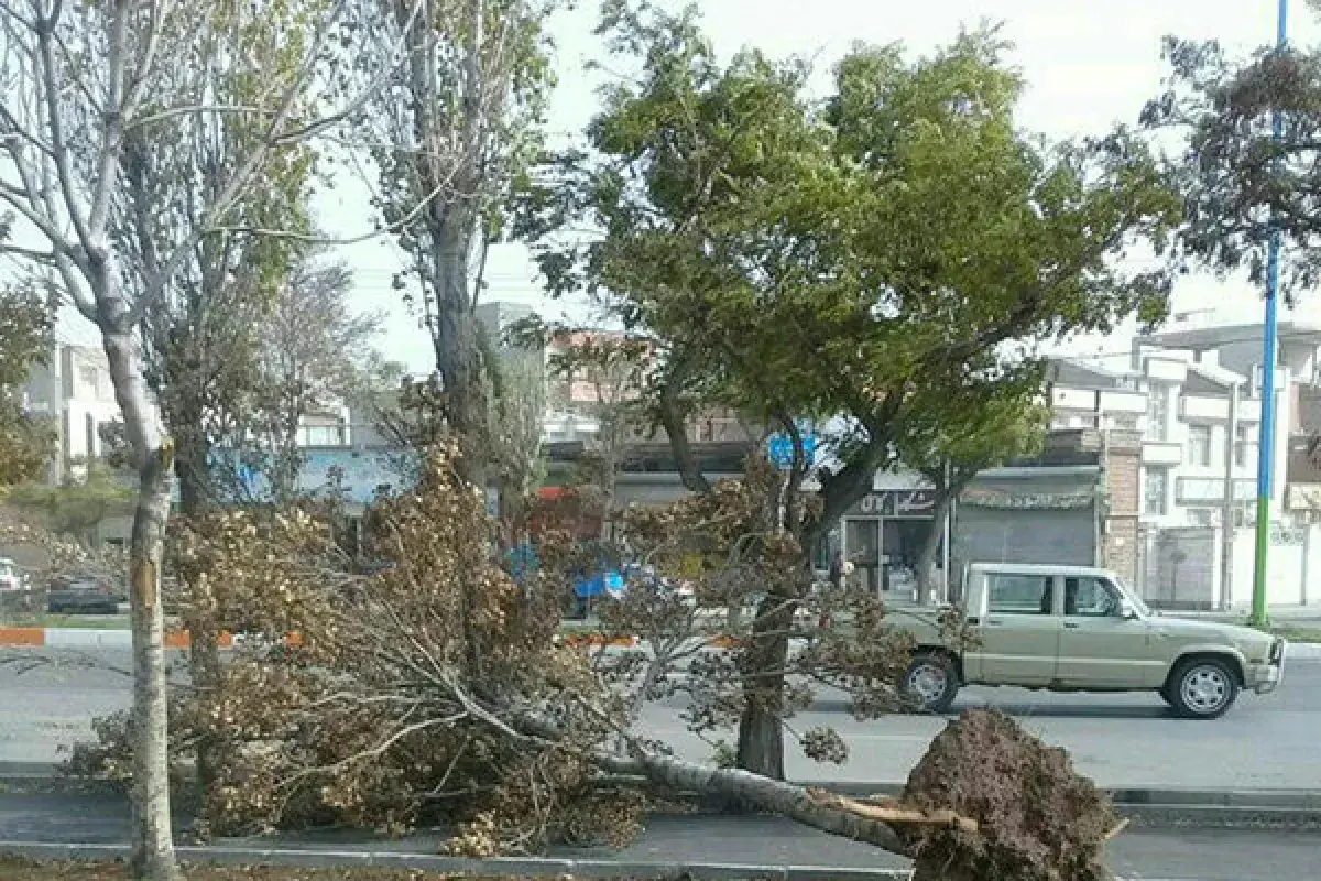 بادهای تند در راه ۱۲ استان کشور؛ مدیریت بحران هشدار داد