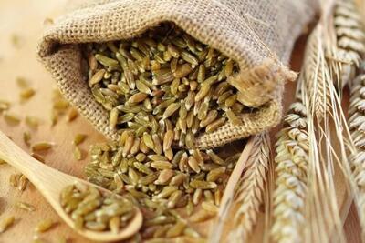  کالاهای اساسی تا پایان سال تأمین است