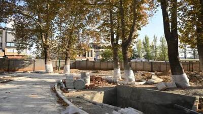 حال و روز ناخوش درختان تجریش از لنز دوربین شهروندخبرنگار + فیلم