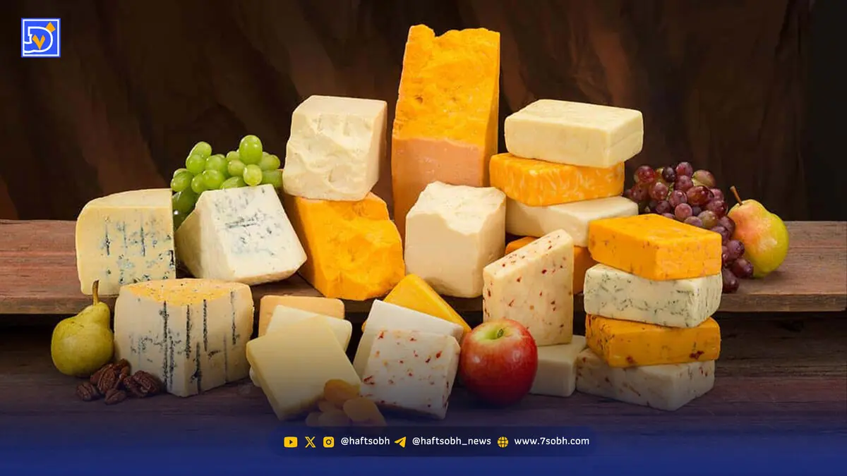 اتهامهای پنیر کاهش یافت