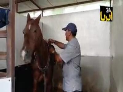 جهش استعدادهای سوارکاری همدان | آخرین خبر