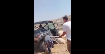  ضرب و شتم یک پیرمرد معلول فلسطینی توسط جوان اسرائیلی