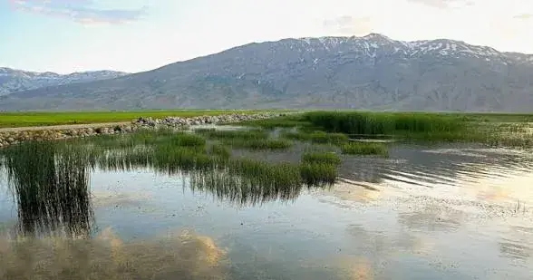 آییننامه حفاظت از تالابها اصلاح شد/ سازوکار جدید برای تأمین آب و محاسبه خسارت