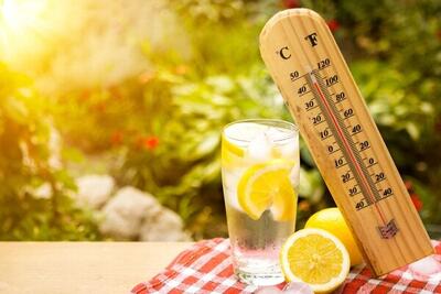 گرمازدگی چه بلایی سر بدن میآورد؟ ۵ اقدام کلیدی برای پیشگیری از عوارض گرما