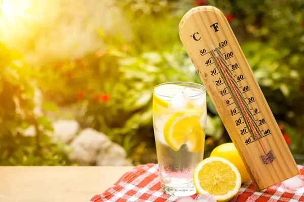 گرمازدگی چه بلایی سر بدن میآورد؟ ۵ اقدام کلیدی برای پیشگیری از عوارض گرما