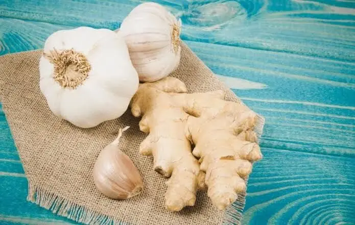 ۴ آنتیبیوتیک طبیعی