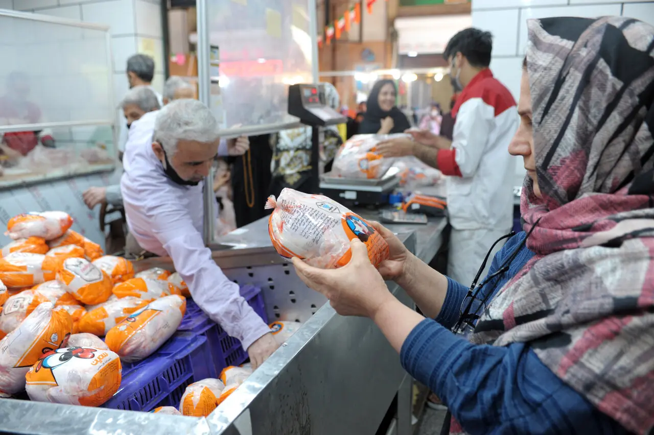 ماجرای ۲۰۰۰ تن مرغ تاریخ گذشته چه بود؟ | توضیحات مهم درباره گوشت بوفالو
