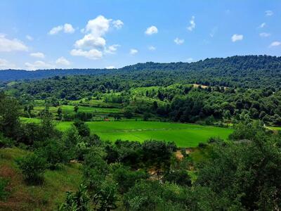 مازندران گرمتر میشود؛ رگبارهای پراکنده در راه است