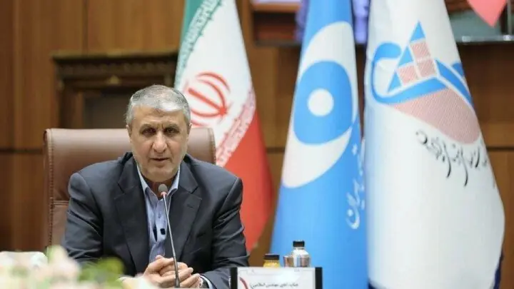 رئیس سازمان انرژی اتمی: هرگز متوقف نخواهیم شد
