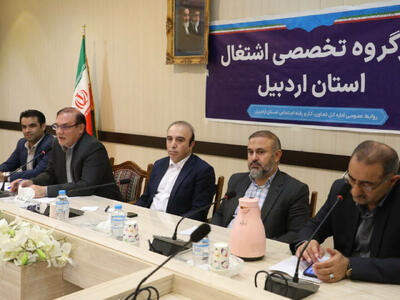  معاون استاندار اردبیل: دانشگاه‌ها مشاغل بومی نوین را شناسایی کنند