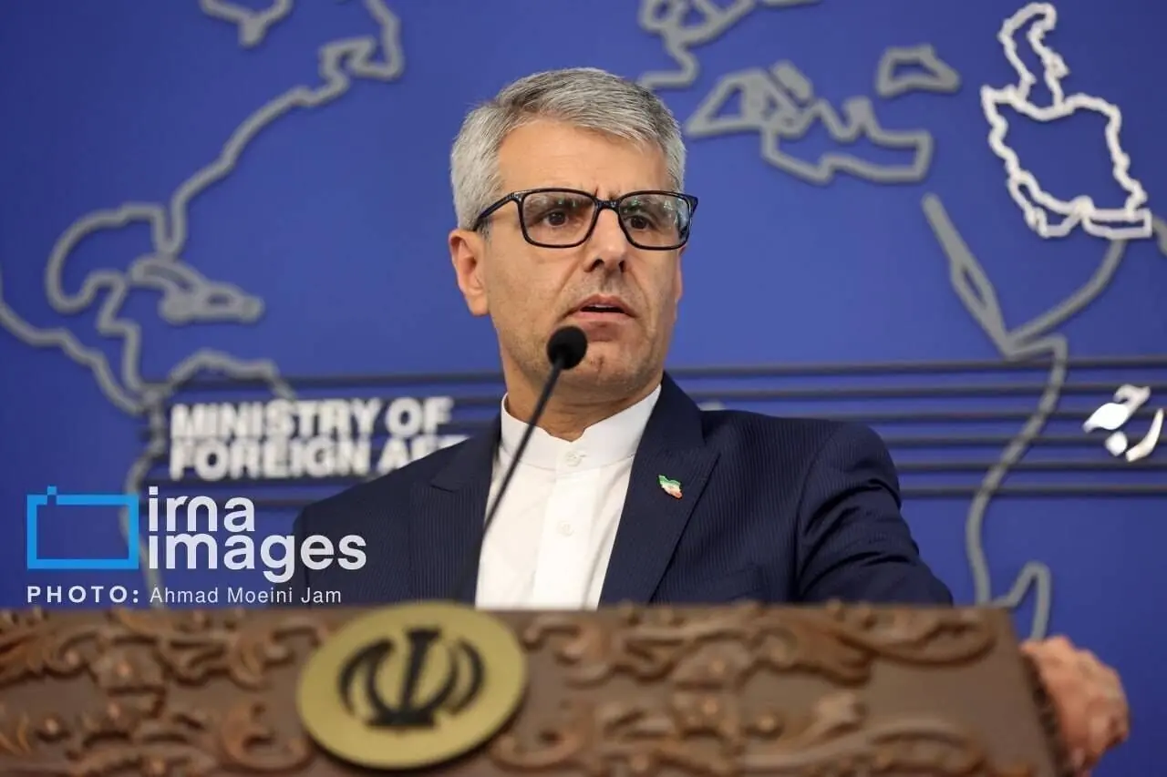  بقائی: انجمن‌های دوستی کمک‌کار دستگاه دیپلماسی در عرصه بین‌المللی هستند