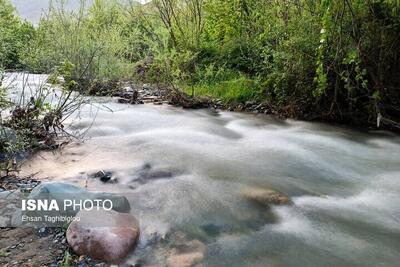 پیگیری قضایی برای رفع تنش آبی رودخانه «علاء»