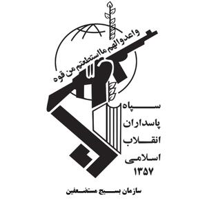  پزشکان ایرانی در خط مقدم دفاع از ایران هستند