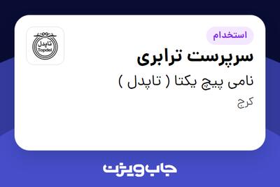 استخدام سرپرست ترابری - آقا در نامی پیچ یکتا ( تاپدل )