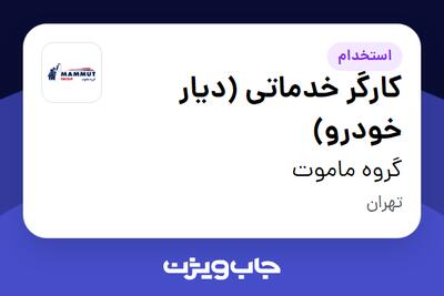 استخدام کارگر خدماتی (دیار خودرو) - آقا در گروه ماموت