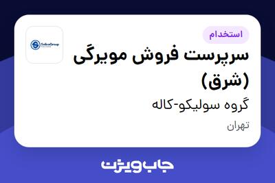  استخدام سرپرست فروش مویرگی (شرق) در گروه سولیکو-کاله