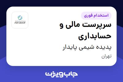استخدام سرپرست مالی و حسابداری در پدیده شیمی پایدار