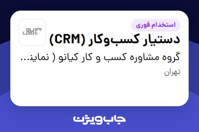 استخدام دستیار کسبوکار (CRM) - خانم در گروه مشاوره کسب و کار کیانو ( نماینده رسمی گروه نرم افزاری سپیدز - نارمک)