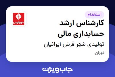 استخدام کارشناس ارشد حسابداری مالی در تولیدی شهر فرش ایرانیان