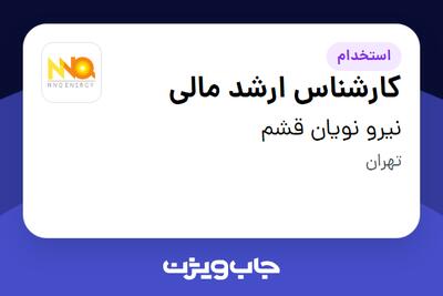 استخدام کارشناس ارشد مالی در نیرو نویان قشم