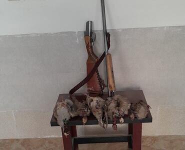  کشف پنج قبضه سلاح و ۹کبک وحشی شکارشده در سرچهان فارس