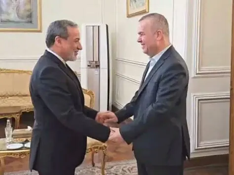  فیلم/ دیدار نماینده پارلمان لبنان با وزیر امور خارجه