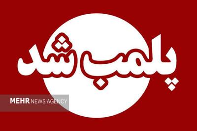 ۷ قصابی غیرمجاز در جوانرود پلمب شد