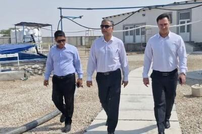 فرماندار تنگستان: حمایت از طرحهای دانشبنیان از اولویتهای است