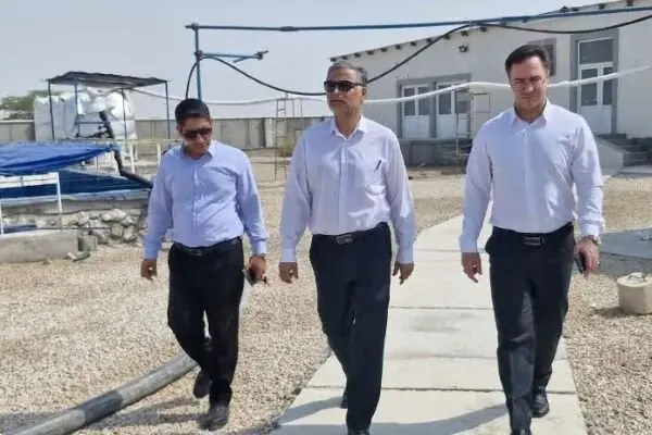 فرماندار تنگستان: حمایت از طرحهای دانشبنیان از اولویتهای است