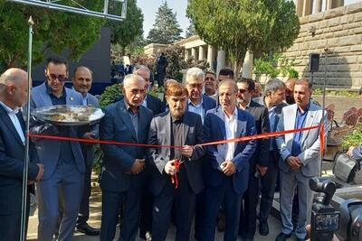 جشنواره گیاهان دارویی «حکیم هزاره» در آرامگاه بوعلیسینا افتتاح شد