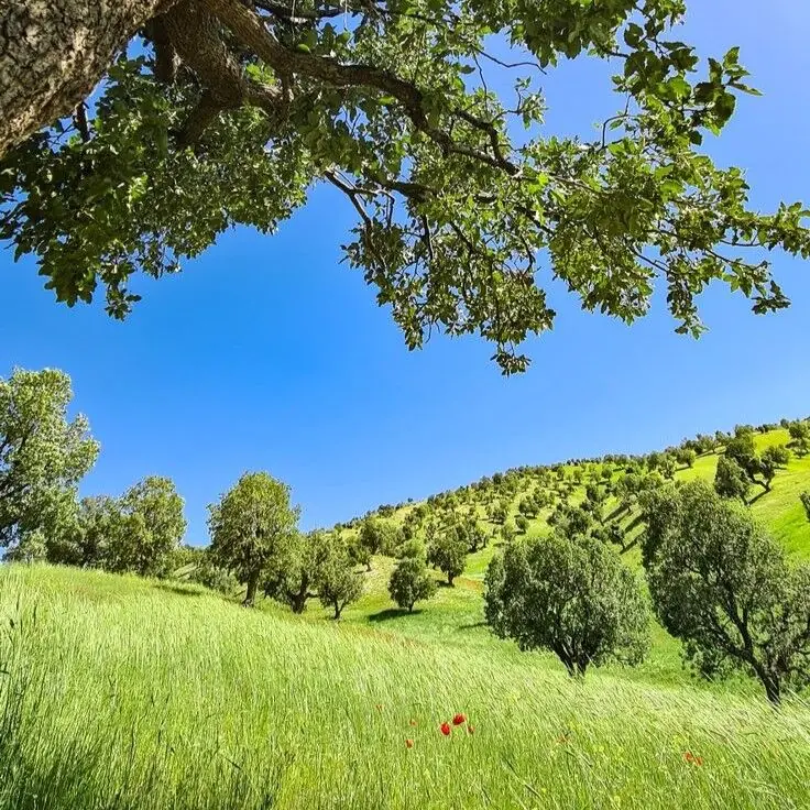  همینی که هستی کافیه