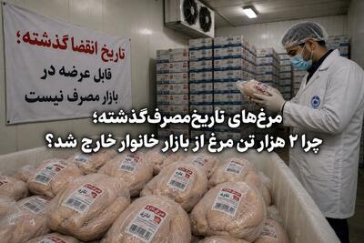 مرغهای تاریخمصرفگذشته؛ چرا ۲ هزار تن مرغ از بازار خانوار خارج شد؟