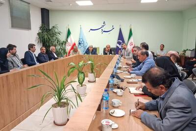  کاهش کانون‌های جوندگان در شهر مشهد از ۶۰ به ۸ کانون