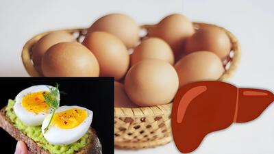  تخم‌ مرغ برای کبد مفید است یا مضر؟