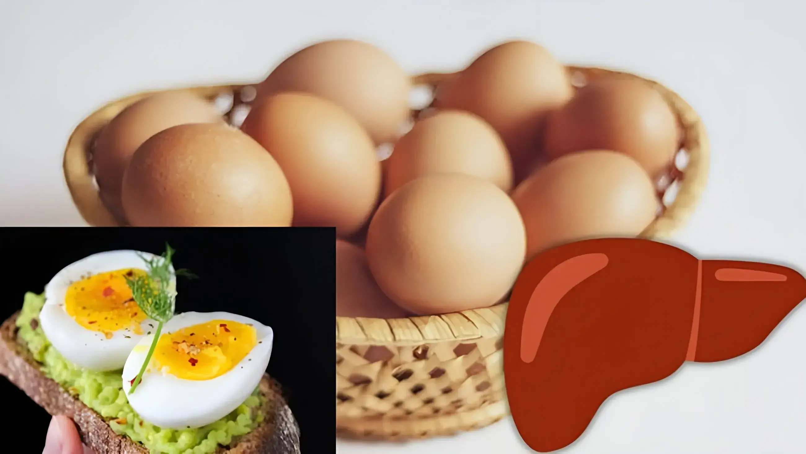 تخم مرغ برای کبد مفید است یا مضر؟