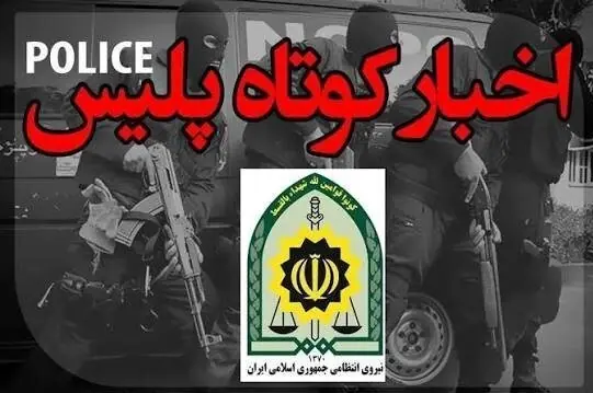 عملیات مقتدرانه پلیس فارس علیه قاچاقچیان و سارقان - تسنیم