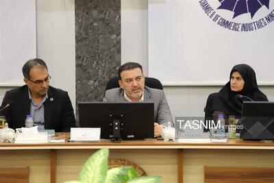 زنجان ظرفیت تبدیل به قطب اقتصاد دیجیتال شمالغرب را دارد - تسنیم